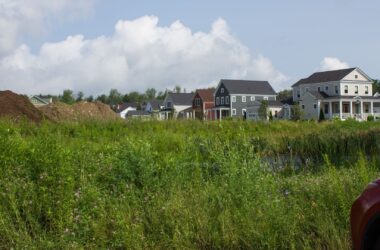 A housing development near the marsh.