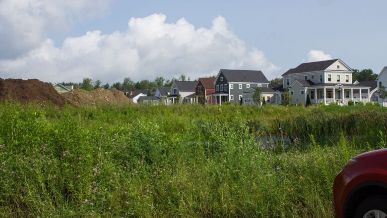 A housing development near the marsh.