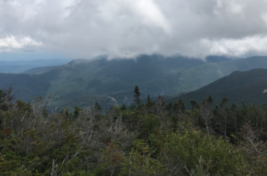 A view of alpine forest below the Gothics Mountain.