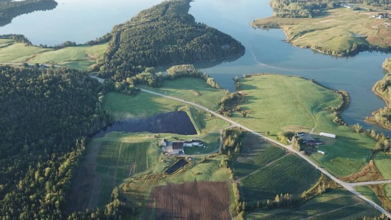 An aerial view of Schoppee Farm in Machias.