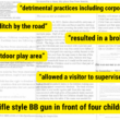 Excerpted portions from different inspection reports. detrimental practices including corporal punishment. located in a ditch by the road. resulted in a broken arm. hazards in outdoor play area. allowed a visitor to supervise the children. waved a rifle style BB gun in front of four children.