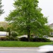 the entrance to the Cape Memory Care facility.