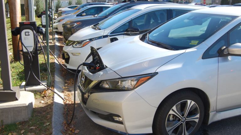 a row of electric vehicles charging.