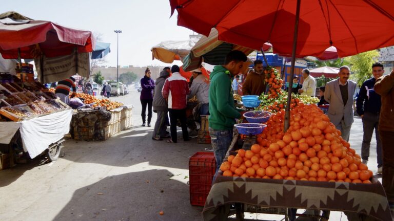 oranges for sale in Morocco.