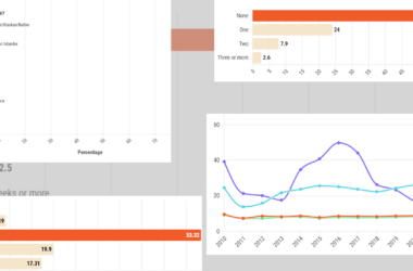 A composite image of several graphs detailing abortion data for Maine.