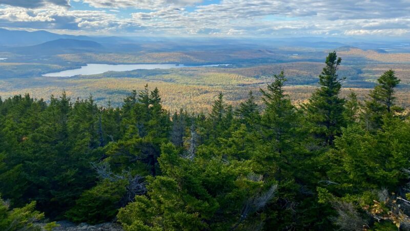 the view from the top of mount chase.