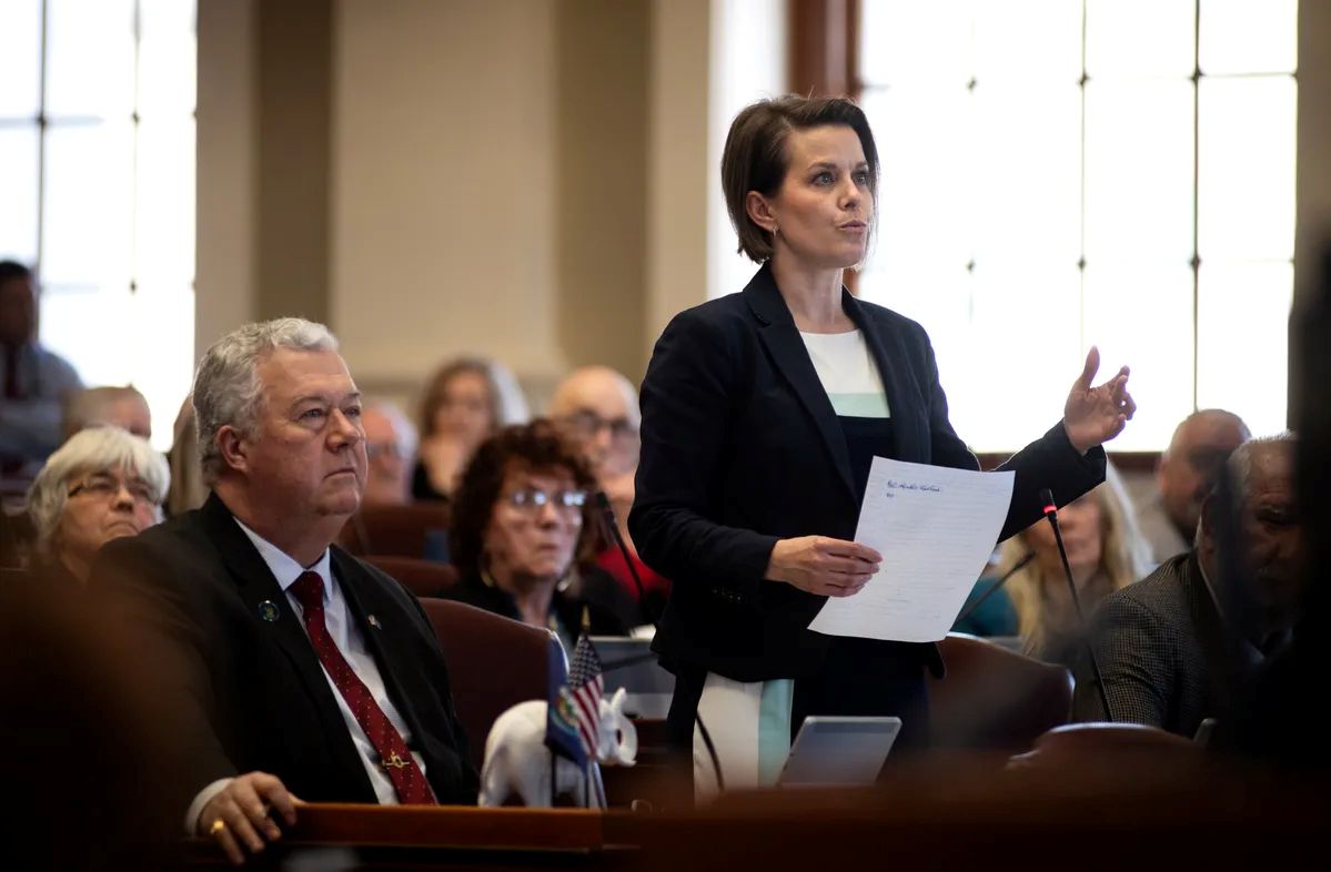 Laurel Libby stands while speaking in the statehouse.