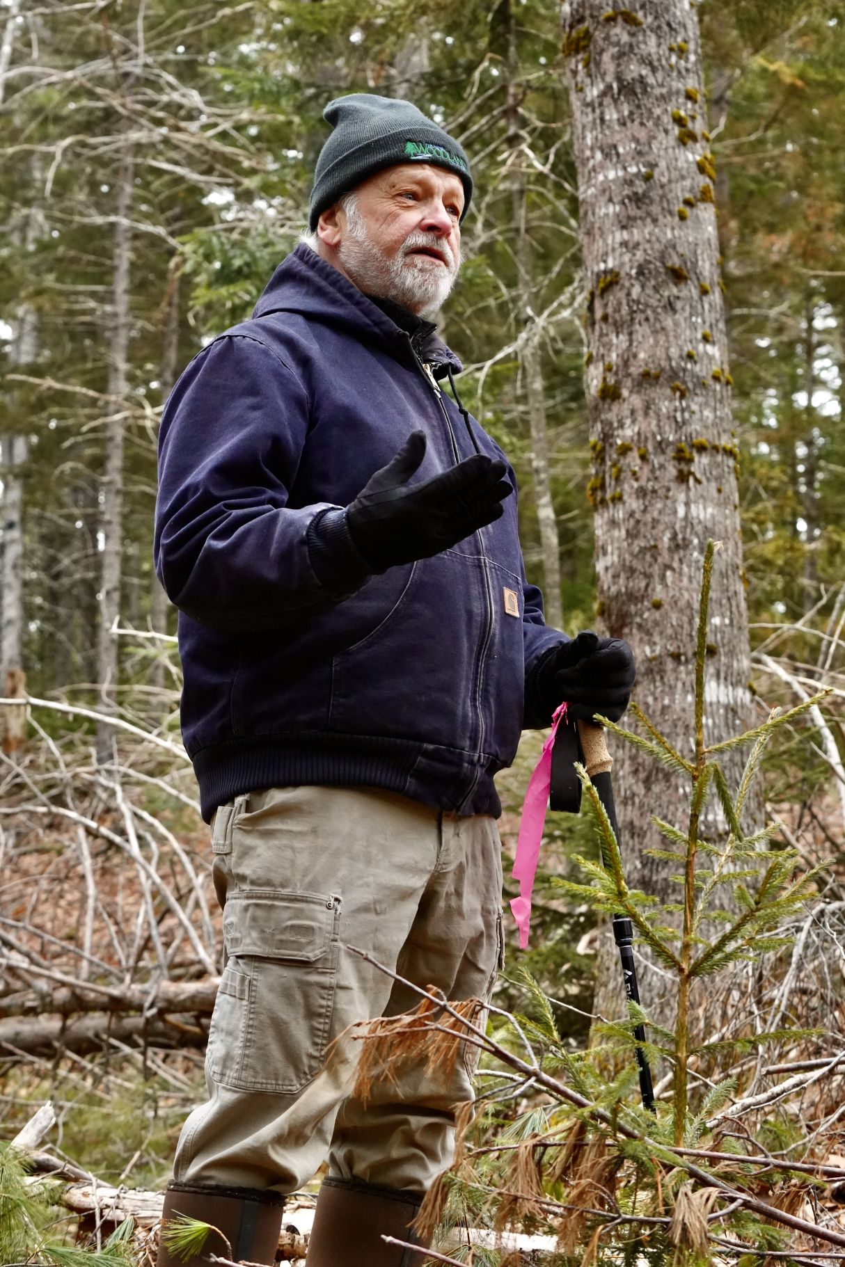 Bob Seymour talks while standing in a forest.