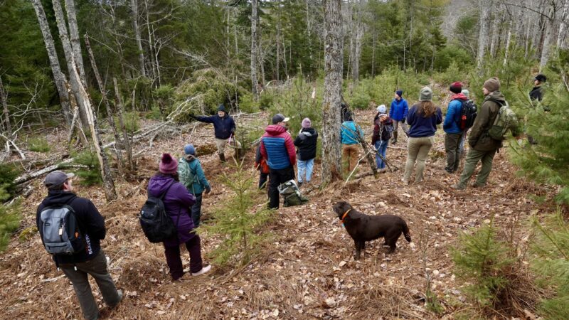 a group of Oregon State University students in a forest.