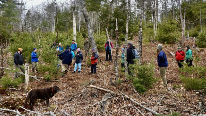a group of students in a forest.