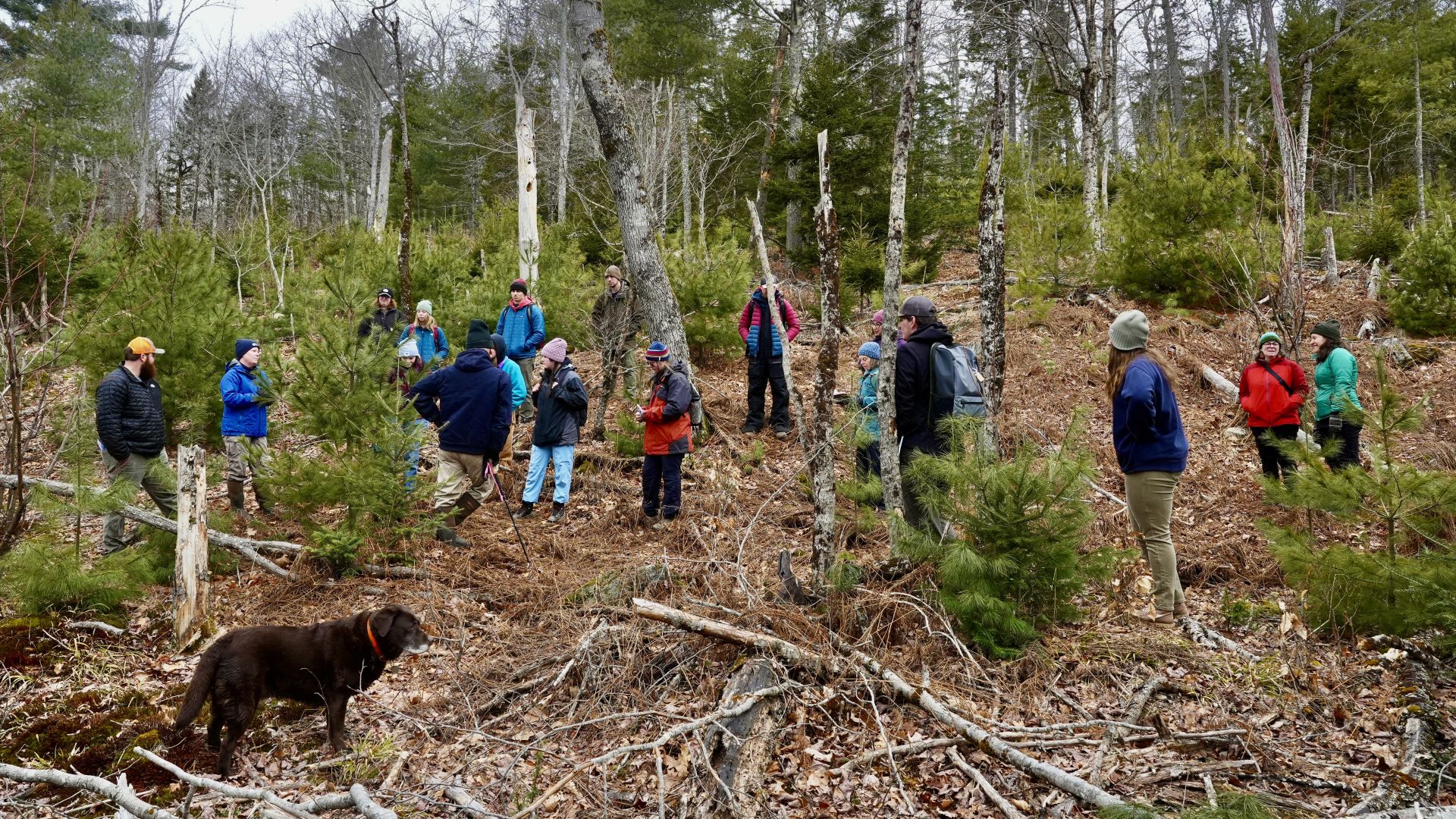 a group of students in a forest.