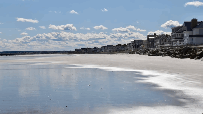 Houses along a beach in York County.