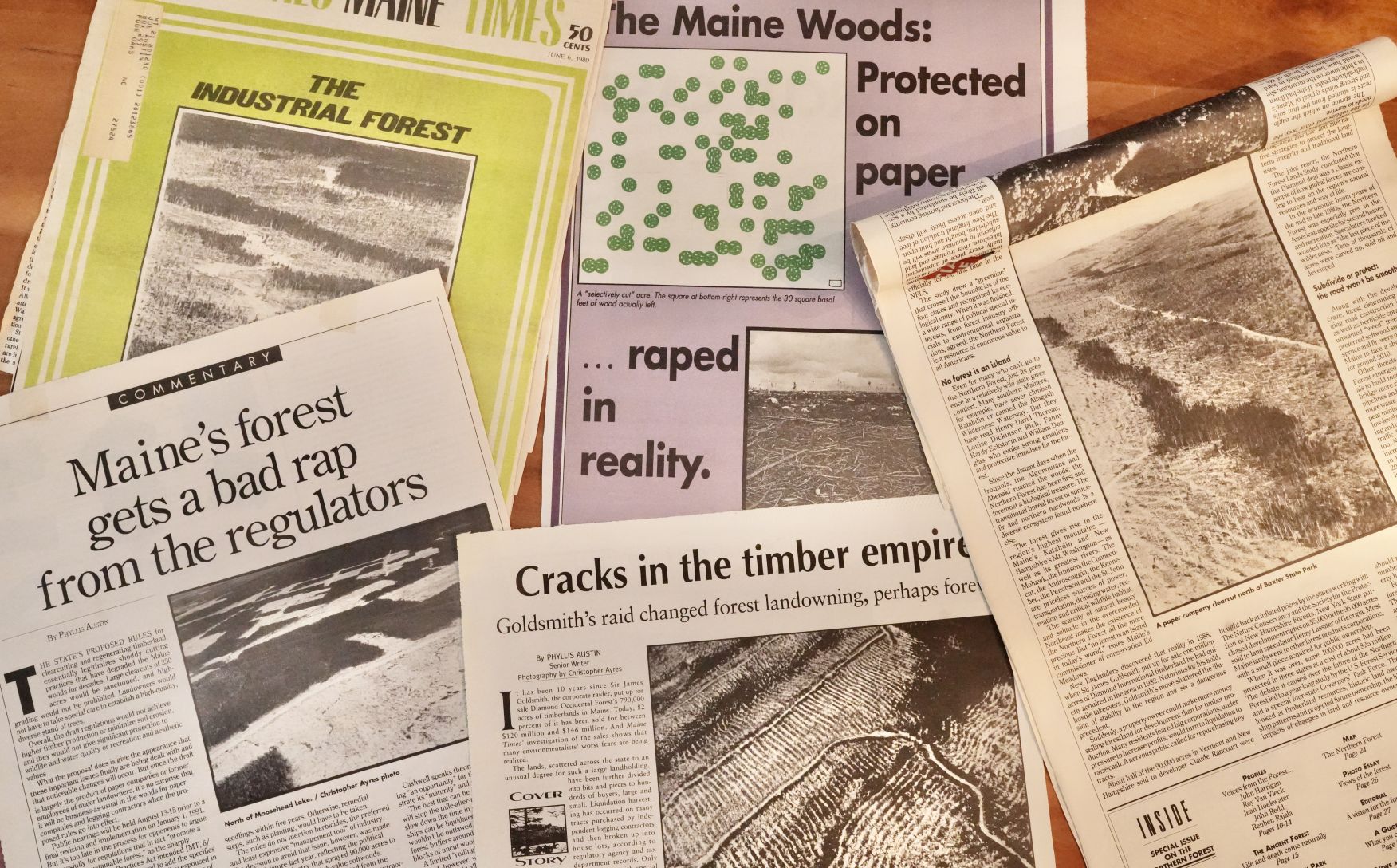 multiple newspaper articles about forestry shown on a table.