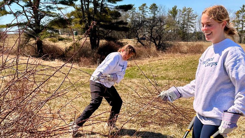 Two AmeriCorps volunteers removing rose branches from a field.