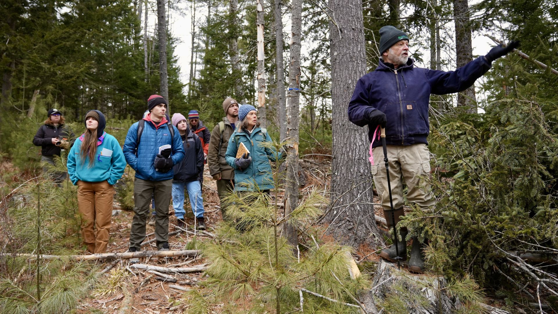 a group of forestry students in a forest.