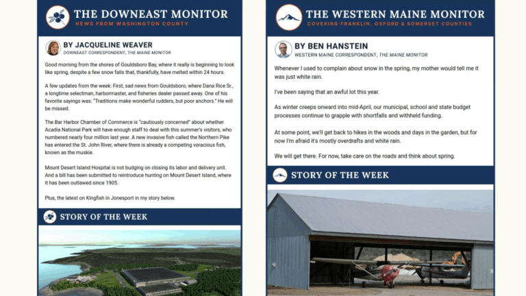 screenshots of recent newsletter editions.