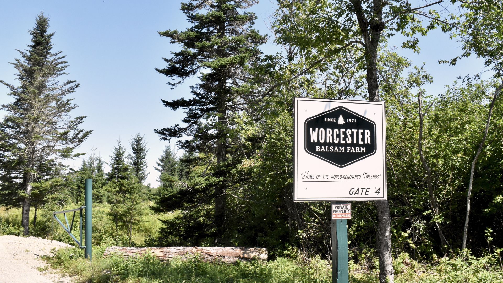 a sign at the entrance of the worcester balsam farm.