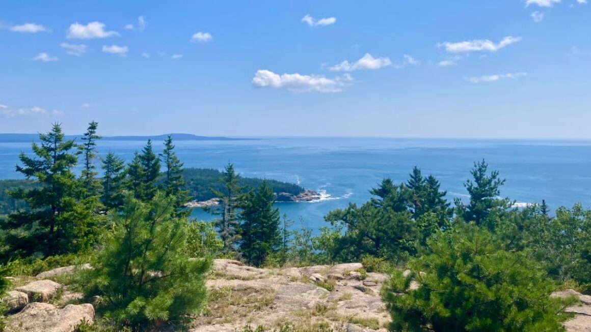 overlook of the water as seen from acadia national park.