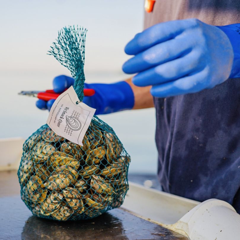 bag of oysters.