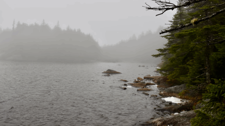 view of horns pond.