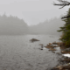 view of horns pond.