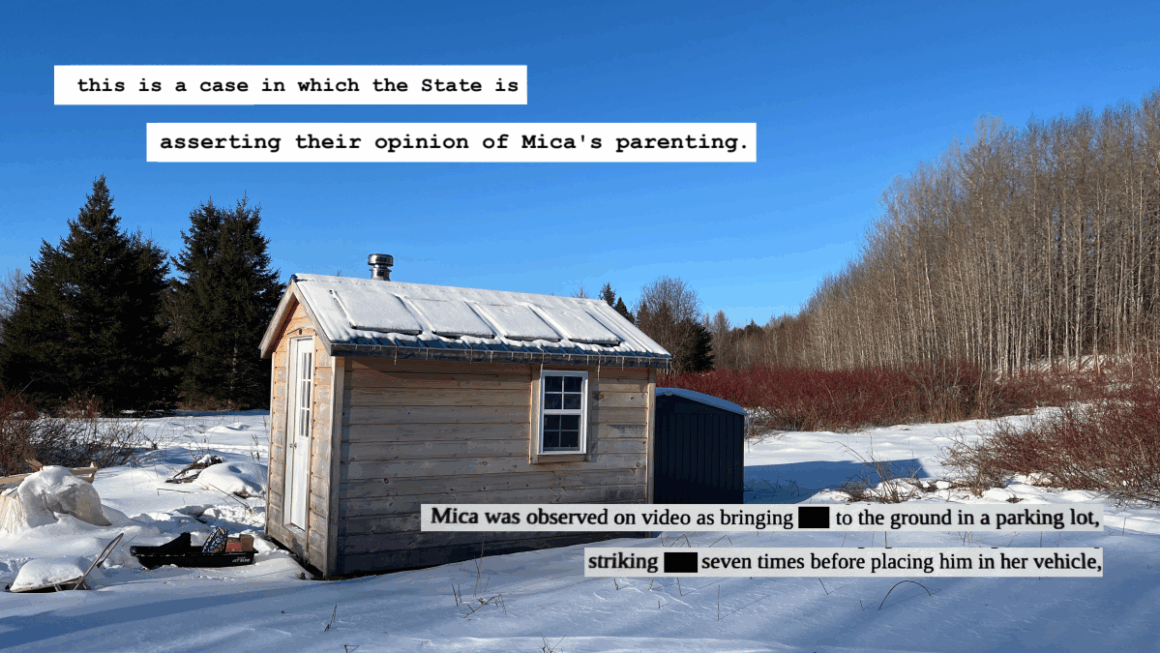 portions of documents imposed over an image of Mica Adler's house.