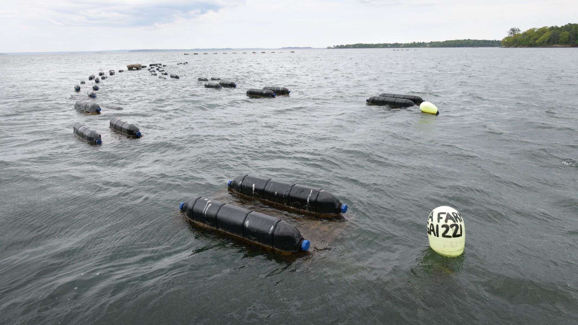 oyster cages floating in the water.
