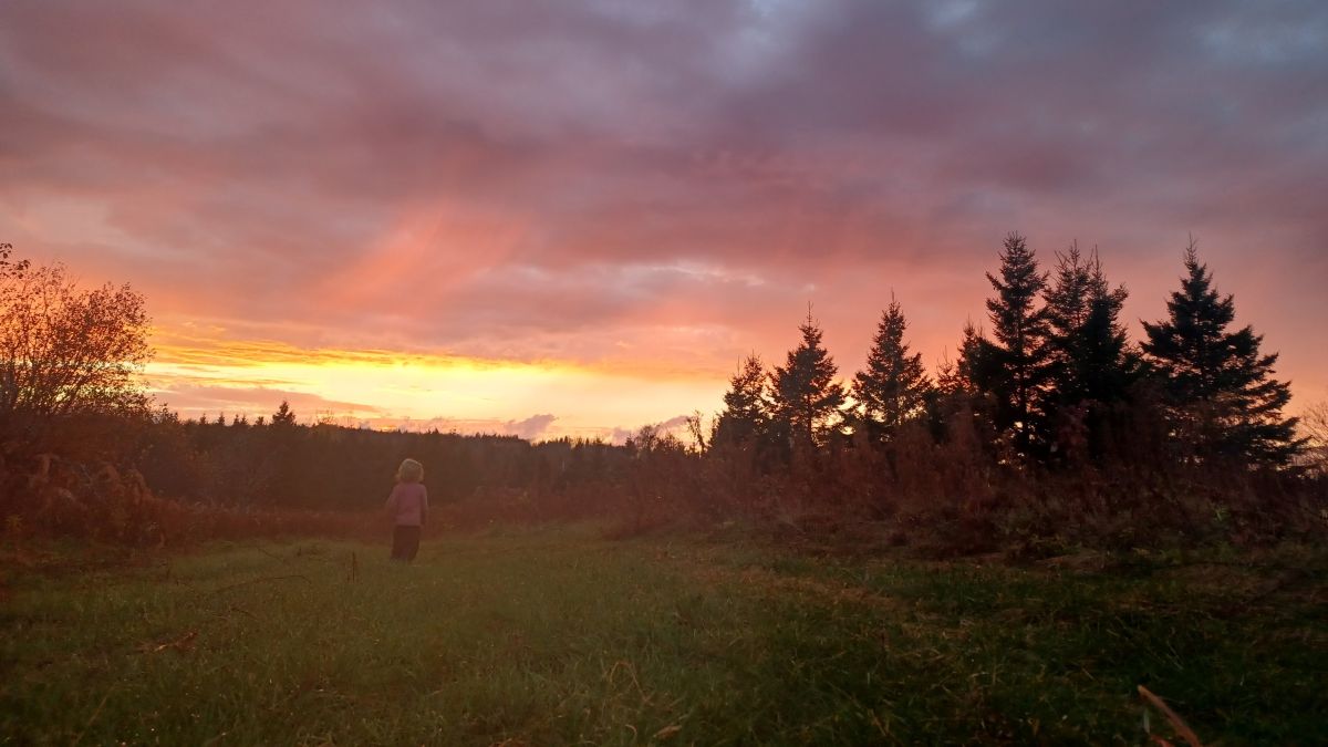 A young boy running through grass.