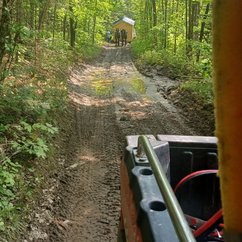 tiny home being delivered by horse and buggy.