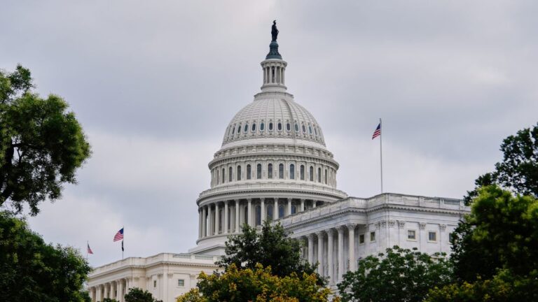 The U.S. Capitol Building.