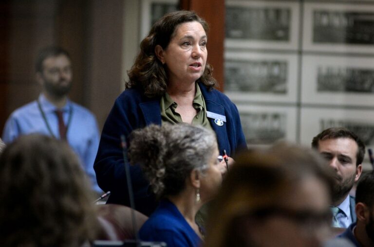 Amy Kuhn speaks on the house floor.