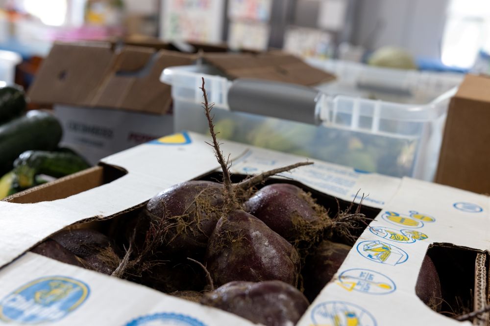 a box of donated produce.