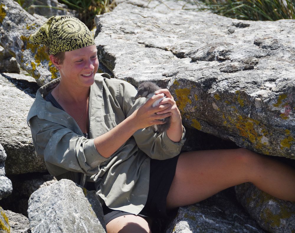 Anna Treadway holding a puffin chick.