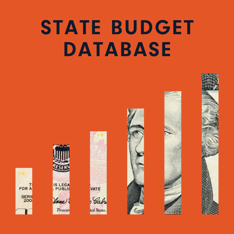 logo for The Maine Monitor's state budget database.