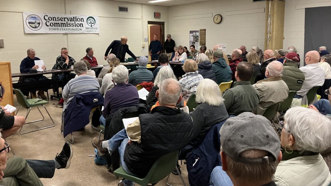 People attending the special town meeting.