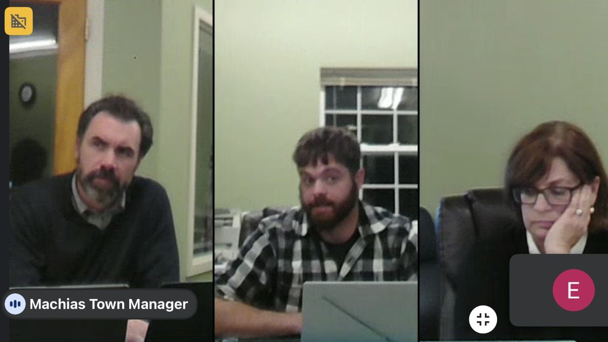 screenshot from a public hearing.