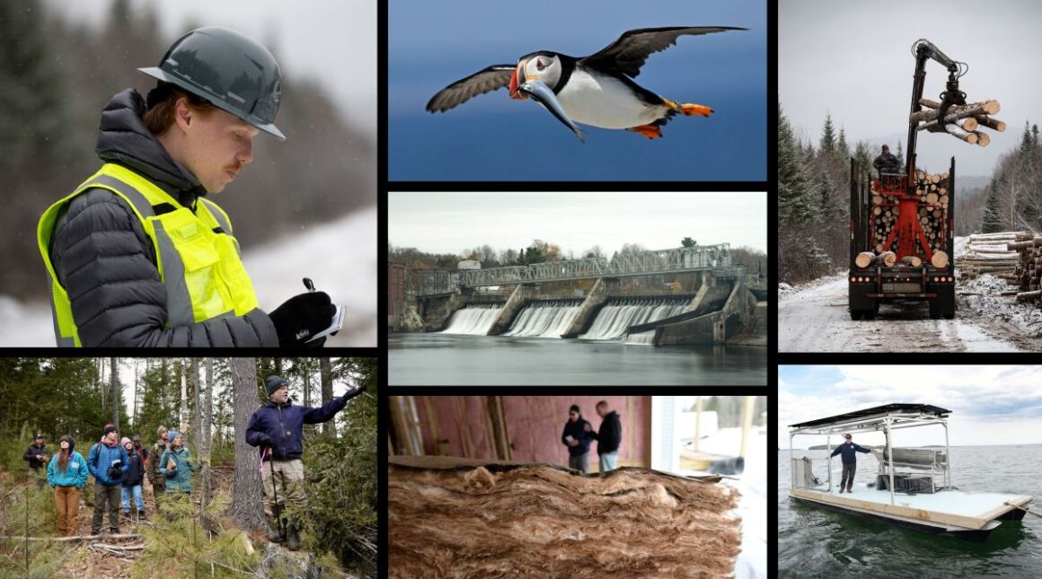 Photo collage: Reporter Emmett Gartner in yellow safety vest and hard hat reporting in the field; puffin flying with fish in beak; logging machinery in snowy Western Maine; a group of students in a forest; a dam; insulation in a house under construction; an oyster boat with solar panels.