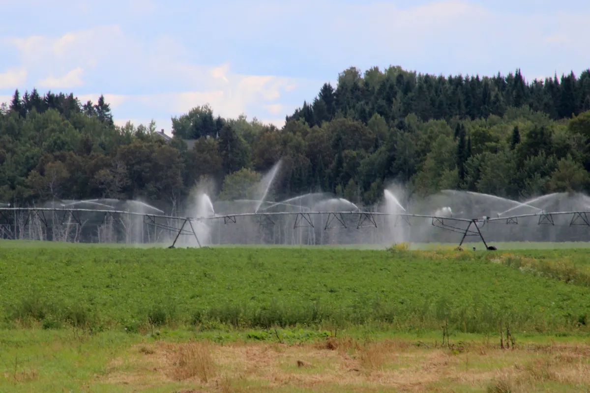 Irrigation equipment sprays water.
