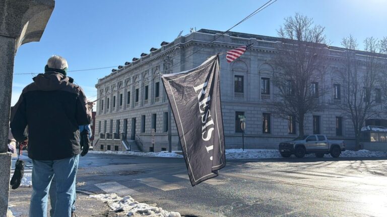 protester holding a flag.