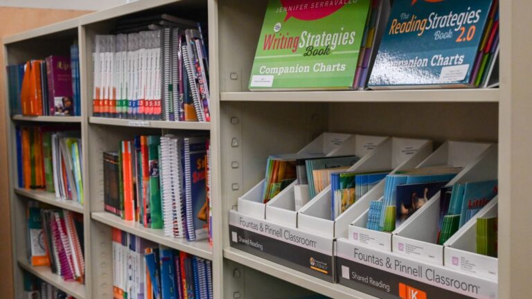 books about reading on bookshelves.