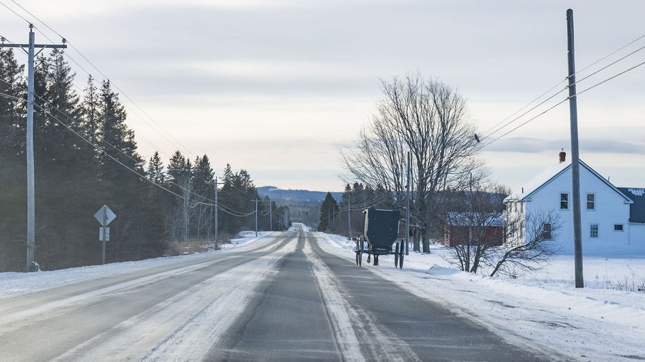 horse and buggy travels alongside the roadway.