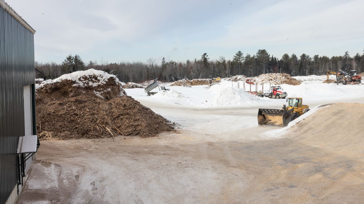 view of the outdoor log yard.