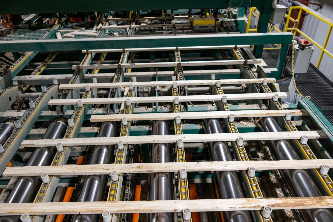 boards moving through the sawmill process.