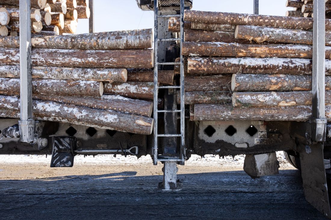logs on a truck.