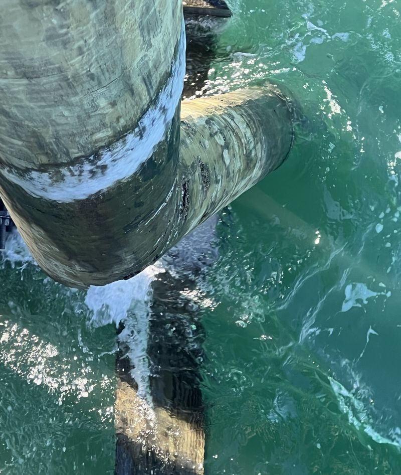 closeup of pier pilings.