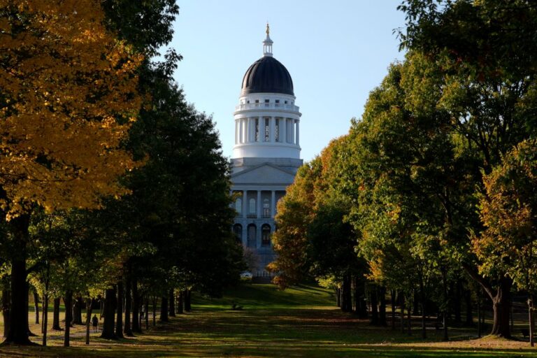 the statehouse as seen through trees.
