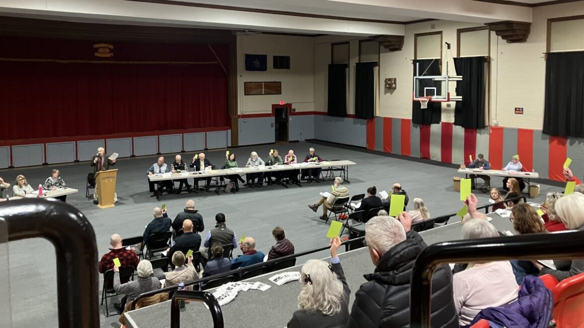 voters in the gym's bleachers hold up yellow cards to cast ballots