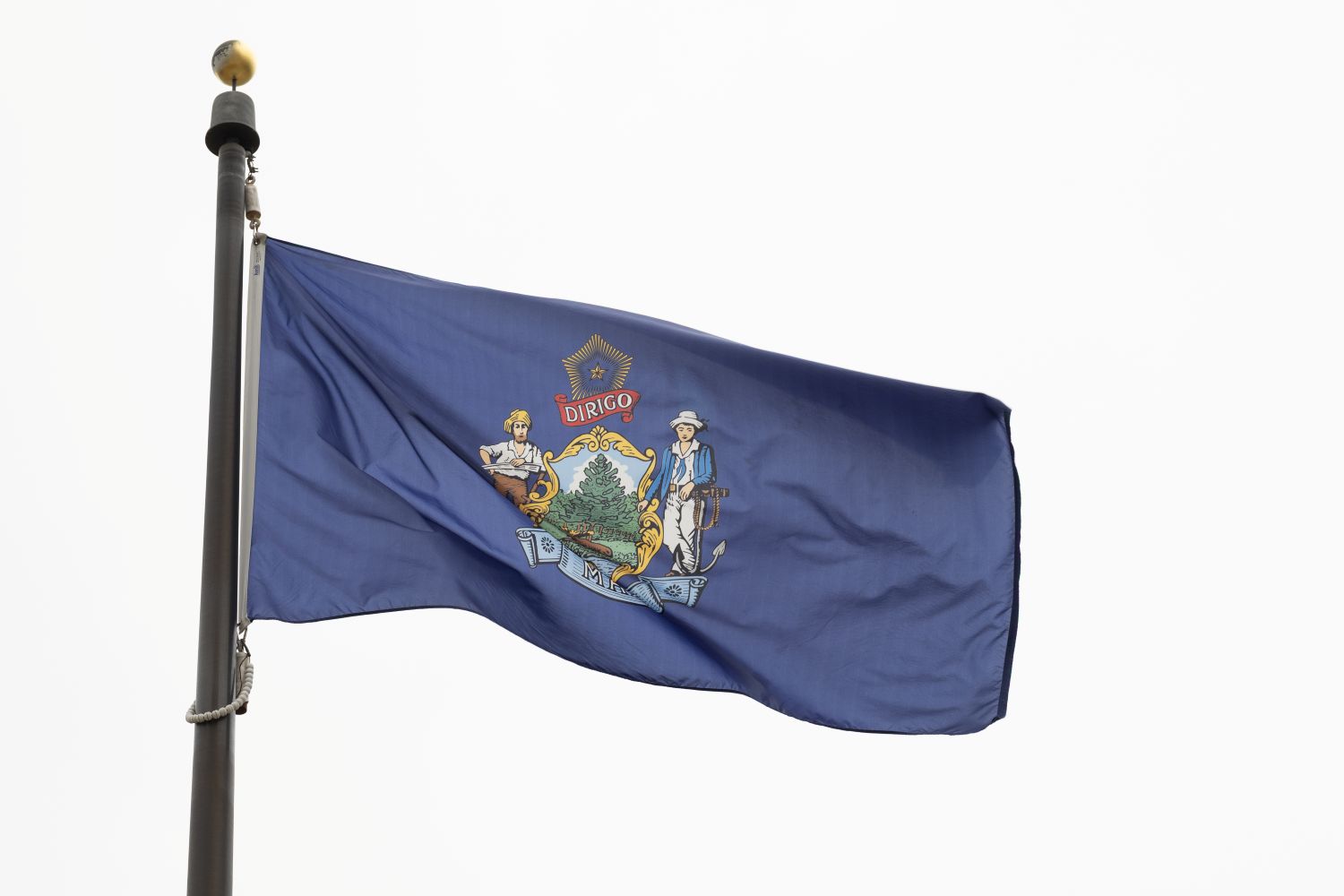 Maine set up a tipline for ICE abuse. Here’s what it got