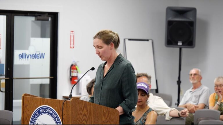a woman speaks while standing at a podium during a public comment period.