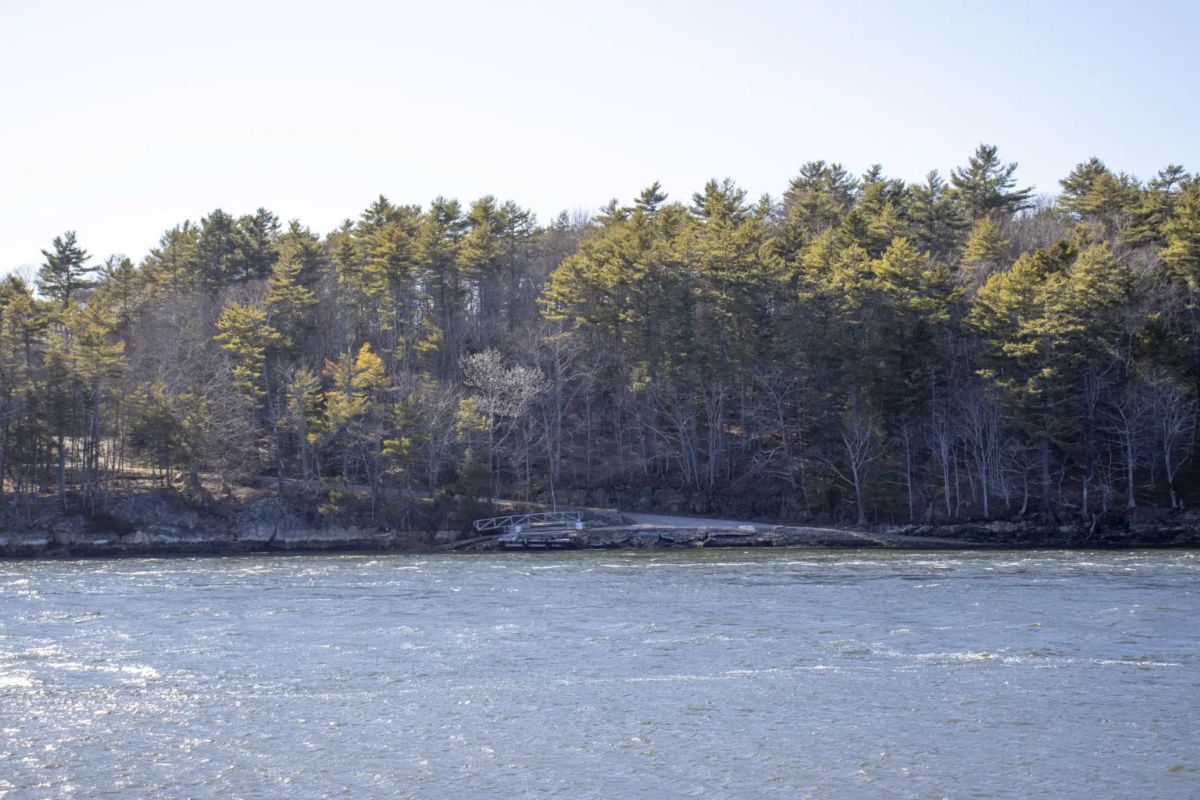tree-covered land as seen from across a river.